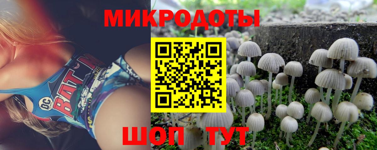 Псилоцибиновые грибы GOLDEN TEACHER  Вход с VPN  Асино 